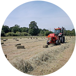 haylage on sale