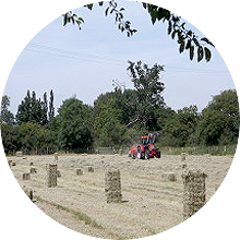 Hay contractors