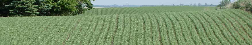 soil sampling