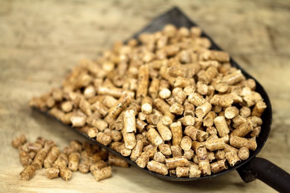 pellet per riscaldamento ecologico