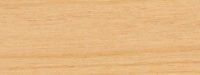 Maple Flooring — Denver, CO — All City Floor Co