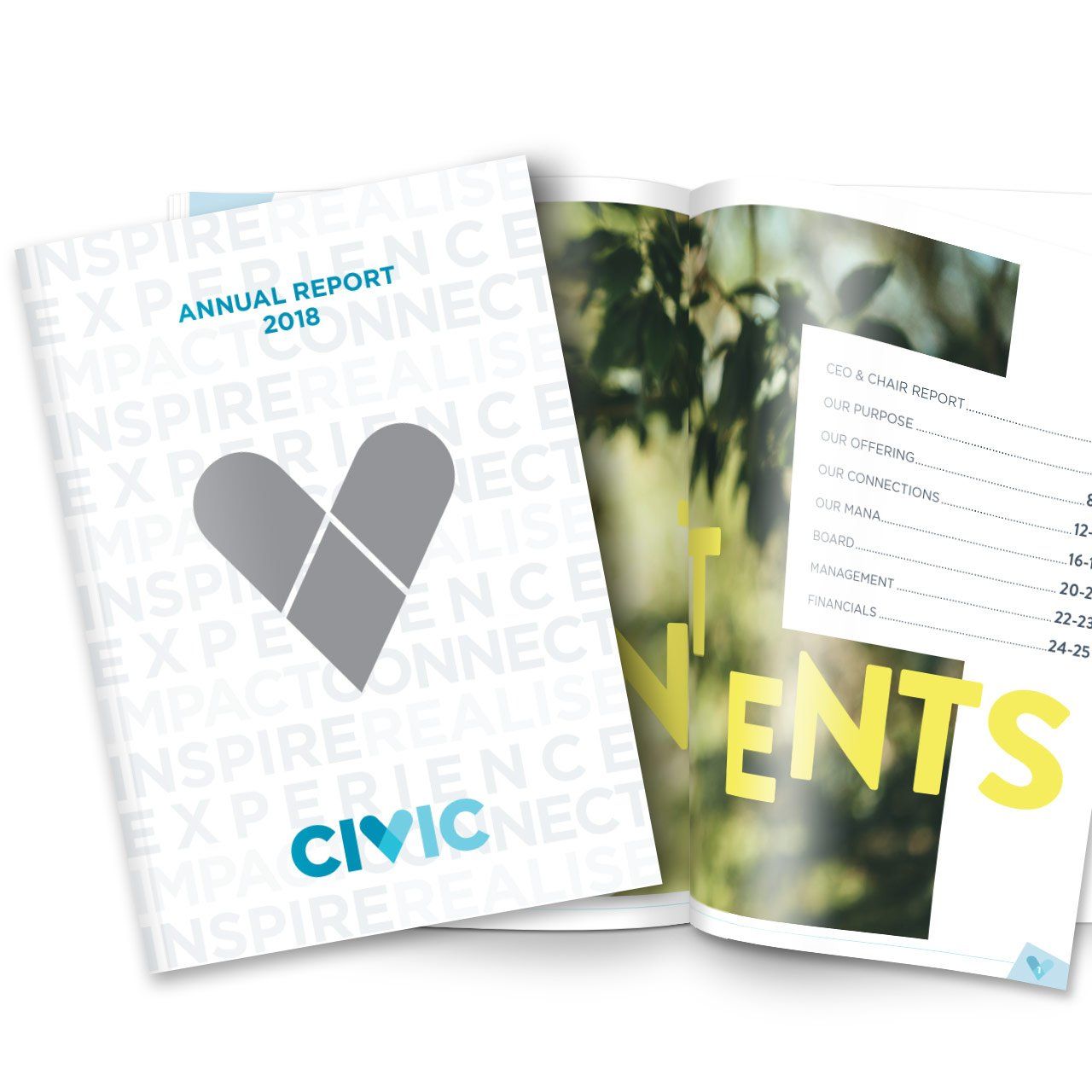Annual Report