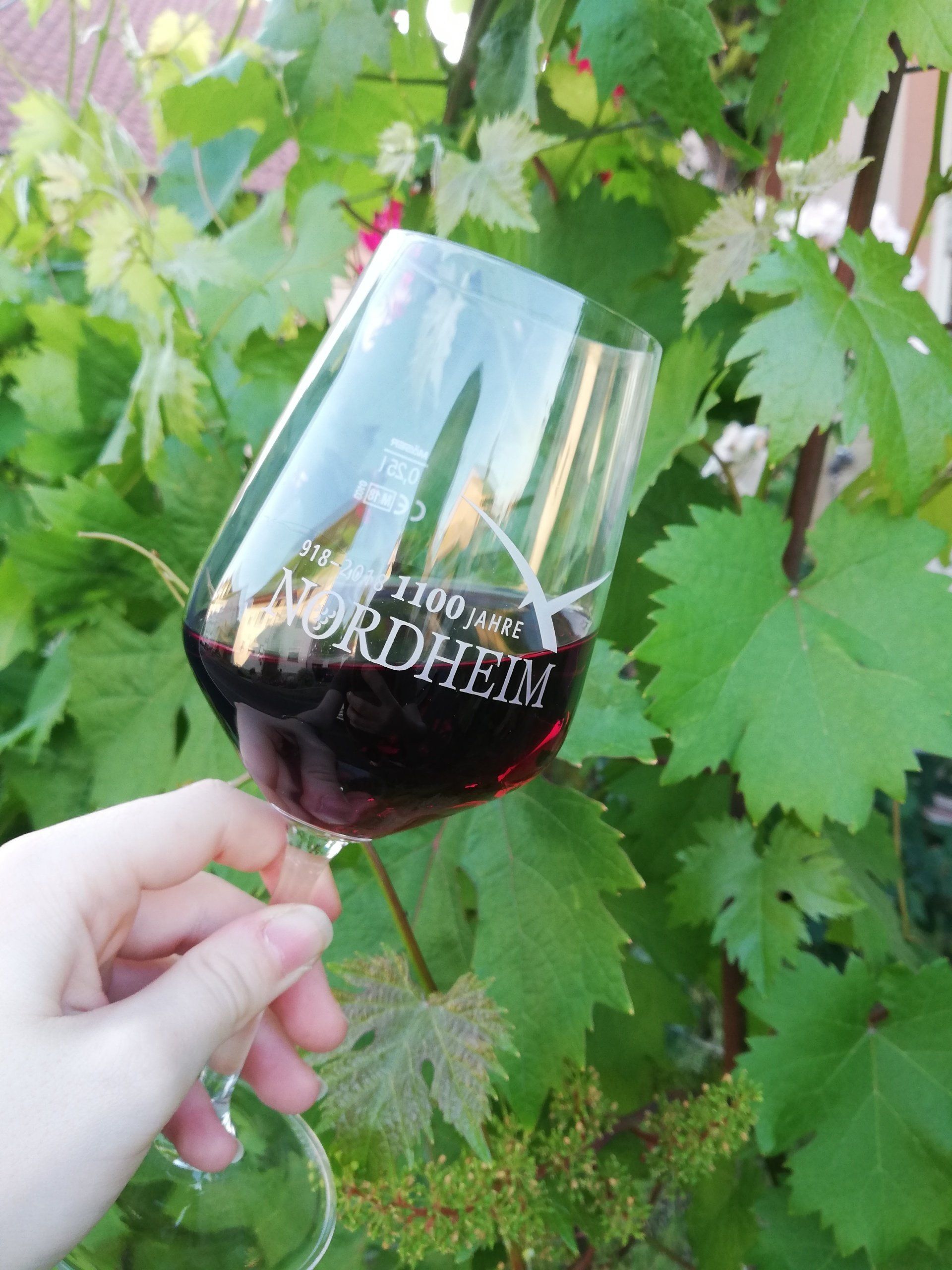 Eine Person hält vor einem Weinberg ein Glas Rotwein.