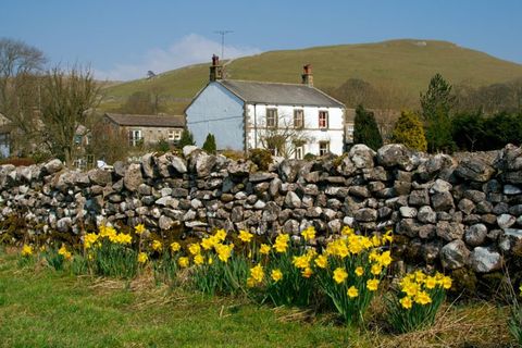 Residential property buyers