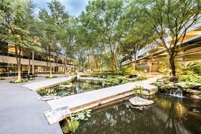 GREYSTONE CENTRE