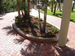 Patio with Trees — Sarasota, FL — Custom Pavers of Southwest Florida
