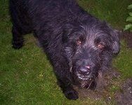 Picture of Bilbo
