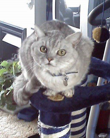 Picture of George