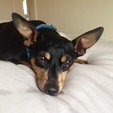 Picture of Morgan 2