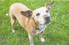 Picture of Sally