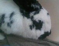 Picture of Spencer
