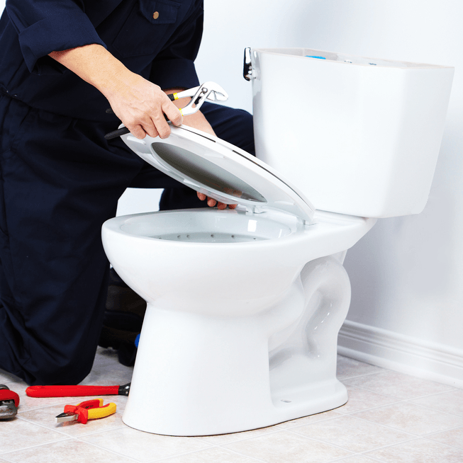 Toilet Plumbing experts