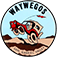 Cartoon car jumping over a brown hill with the words