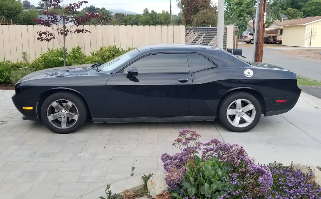 Black Dodge Challenger parked on a paved driveway with tinted windows, shrubs in front.