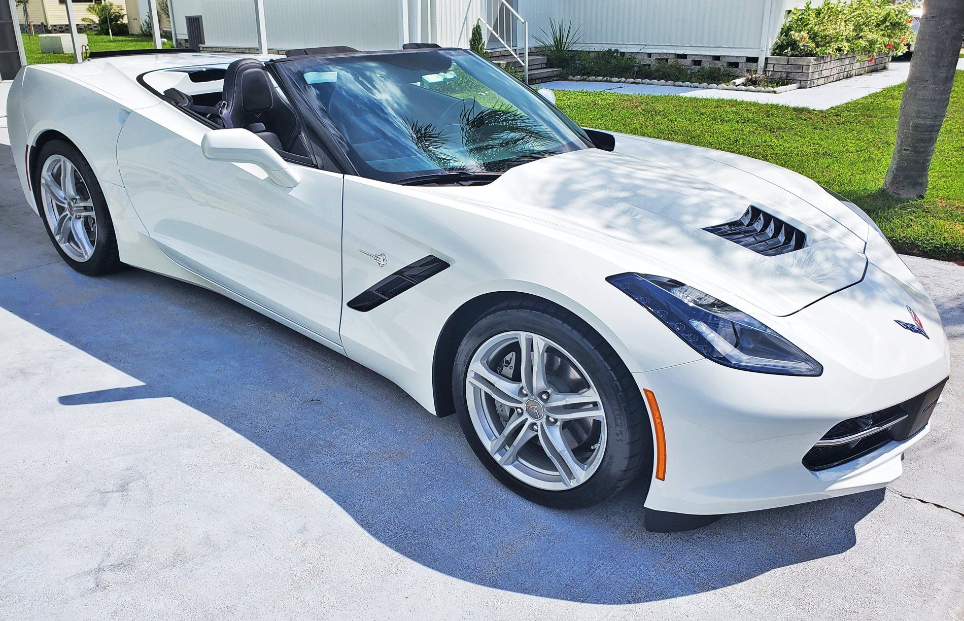 Vette