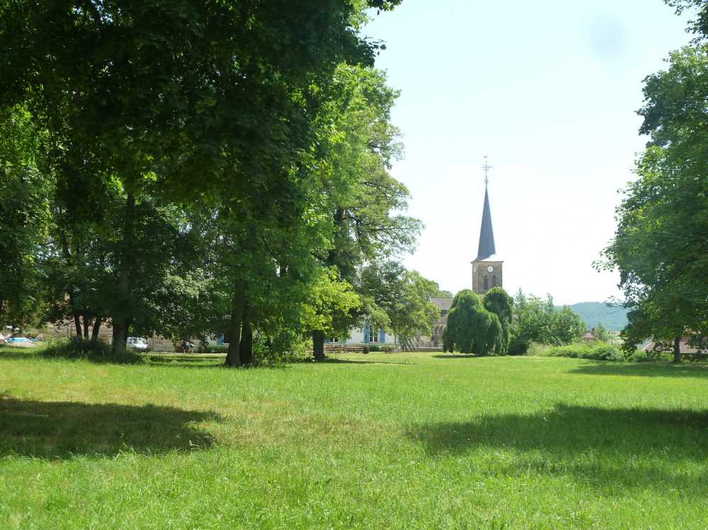 Een kerktoren is zichtbaar door de bomen in een park