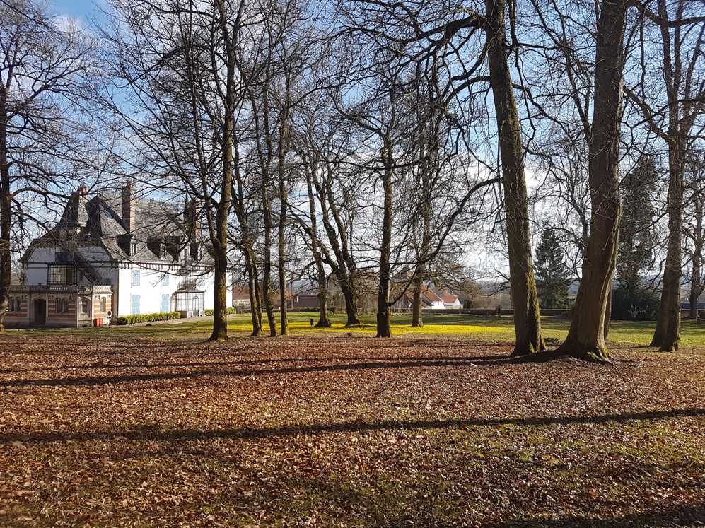 Een park met bomen en bladeren op de grond en een huis op de achtergrond