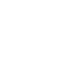 Courier services