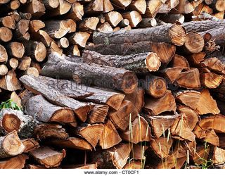 Getting the Most Heat for Your Woodburning Dollar
