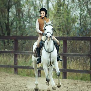 white horse