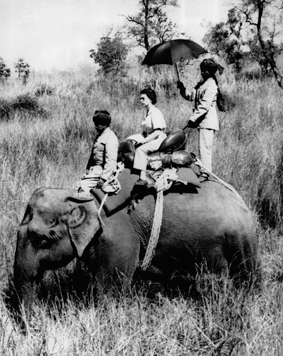 Elephant Safari in Nepal