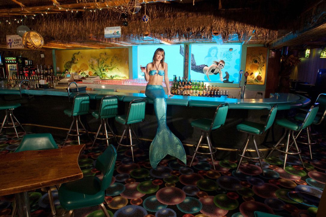 Sip 'N' Dip - a Bar to Remember