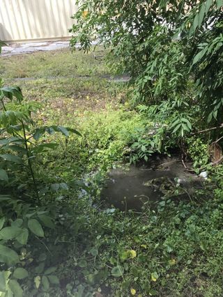 Septic tank flooding - Septic system service in Jacksonville, FL