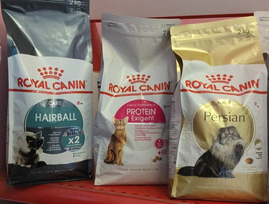 royal canine dog and cat food