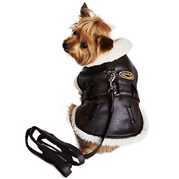 Dog Black