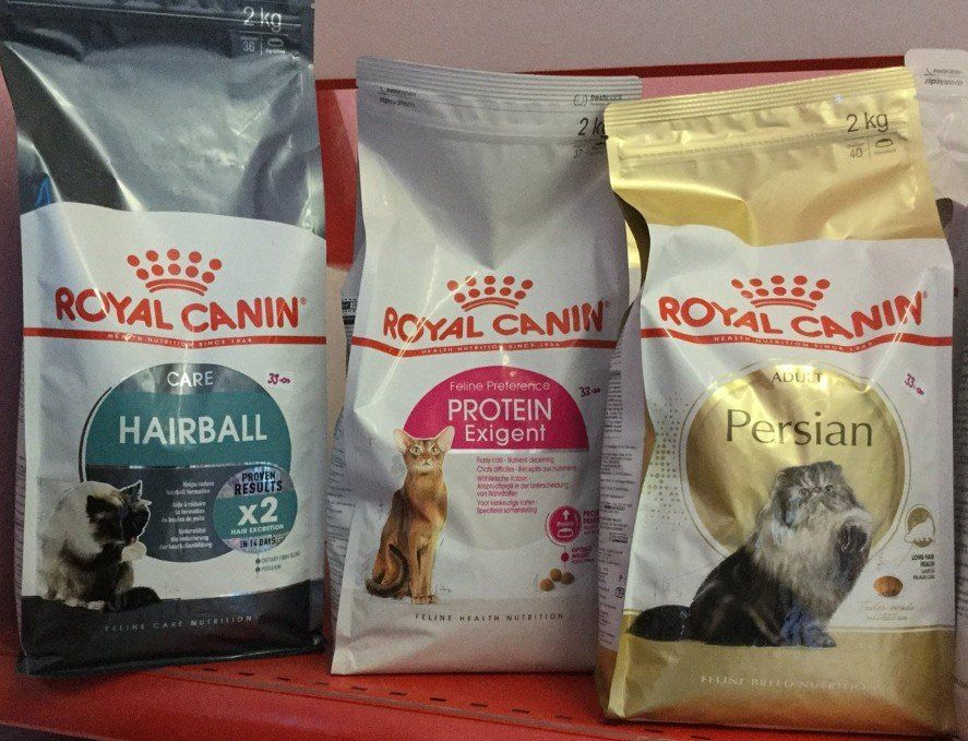 premium dog and cat food