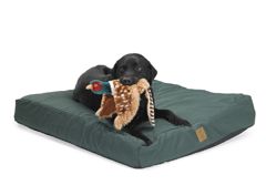 Beddings