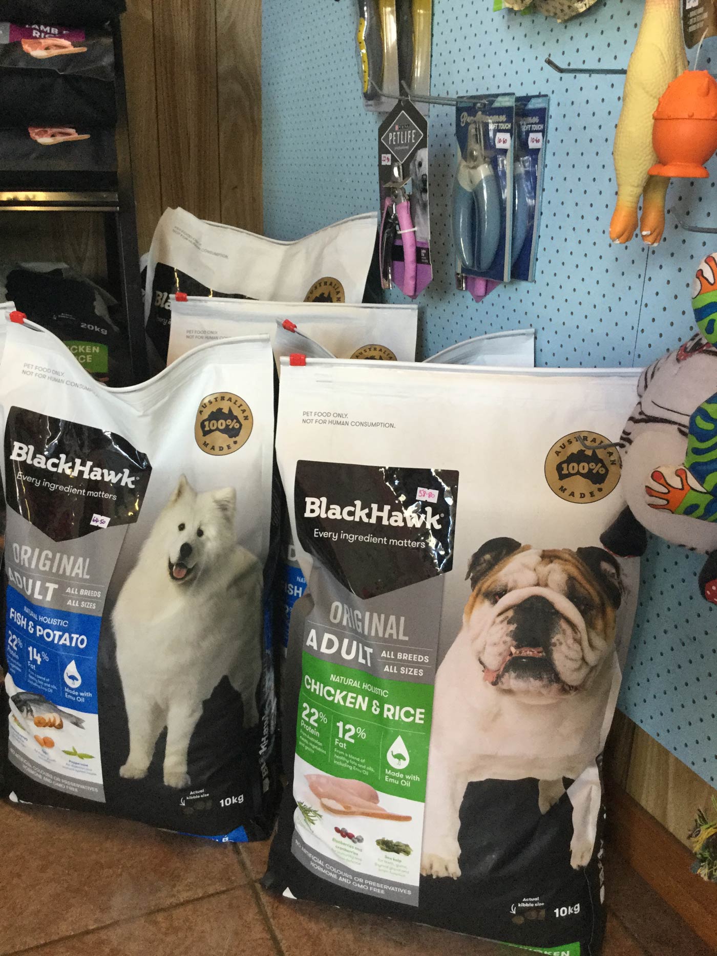 blackhawk dog