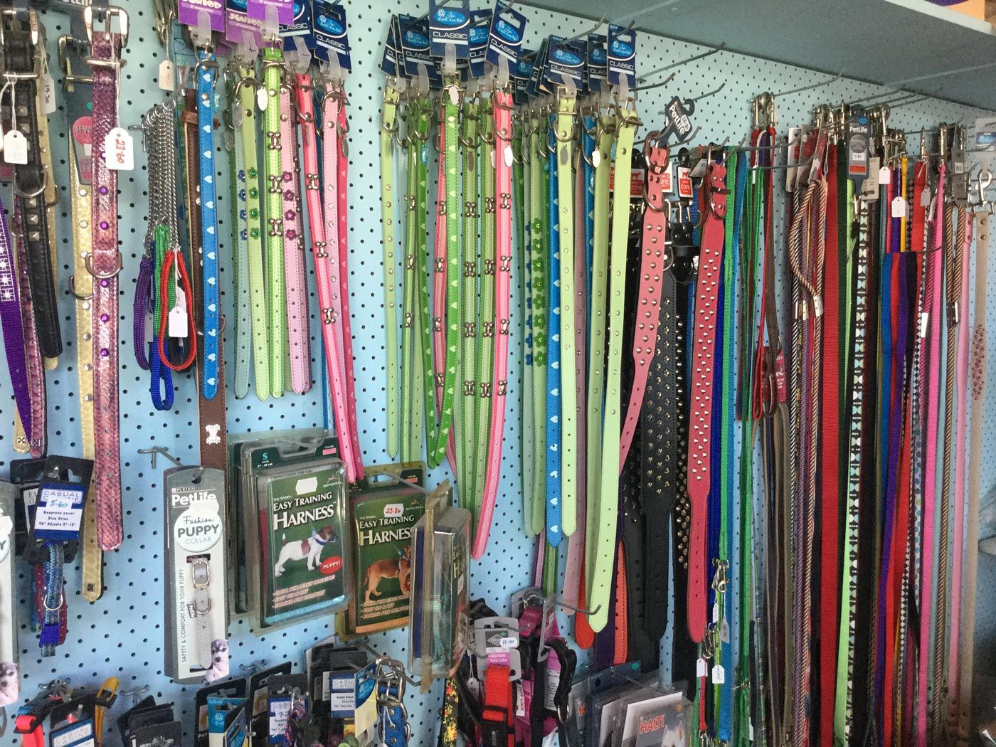 dog harness