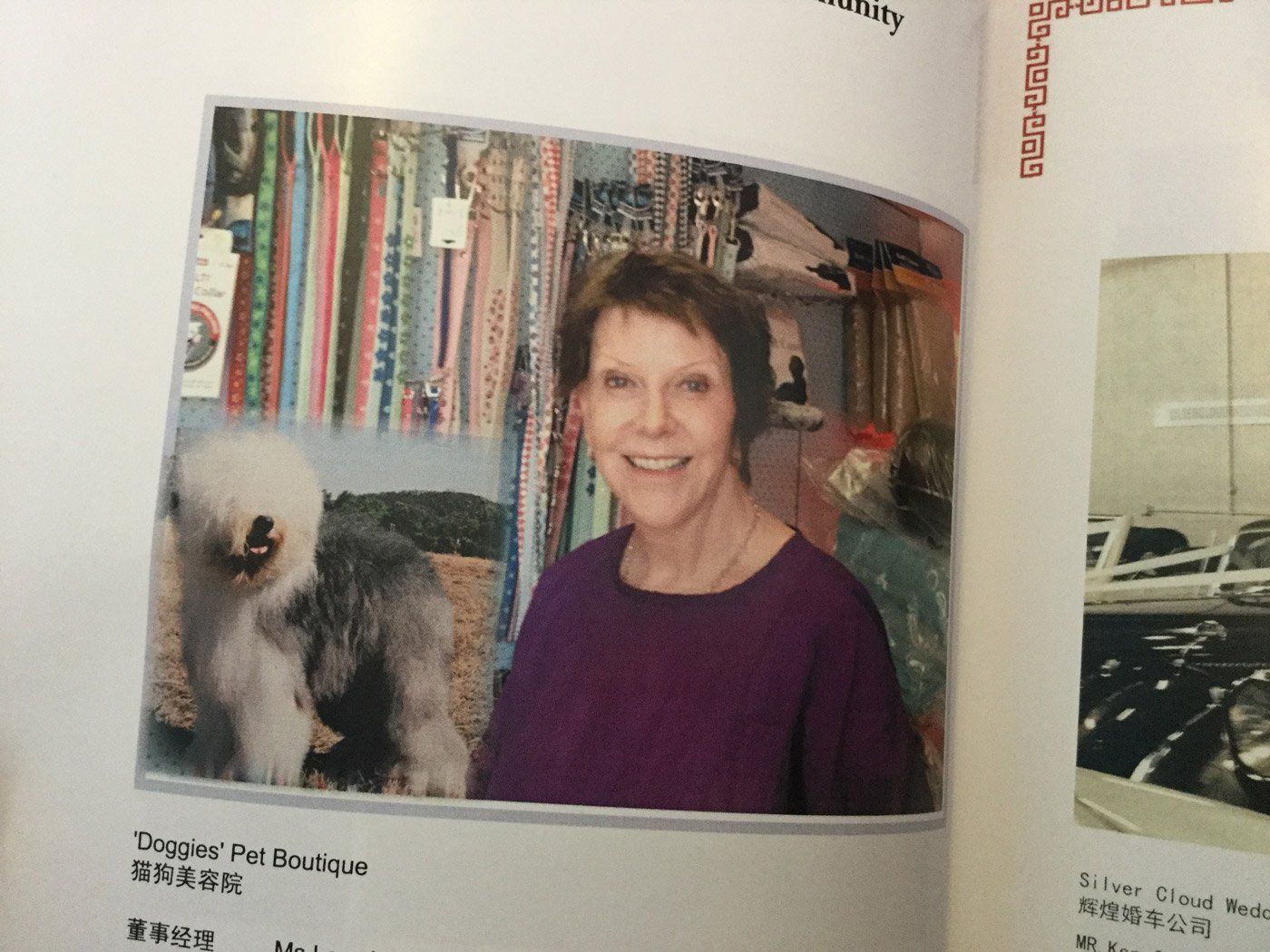 magazine