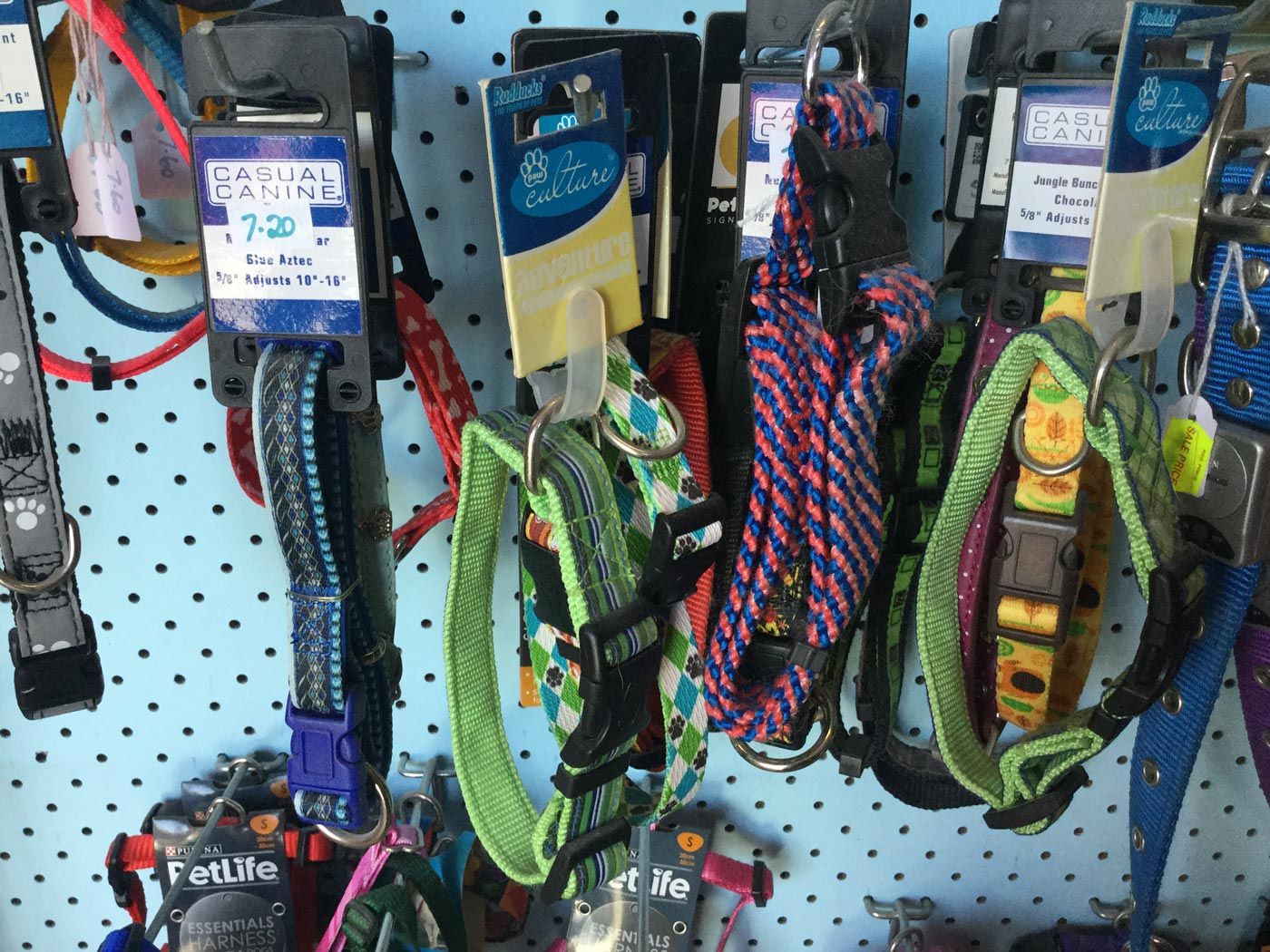 dog collar