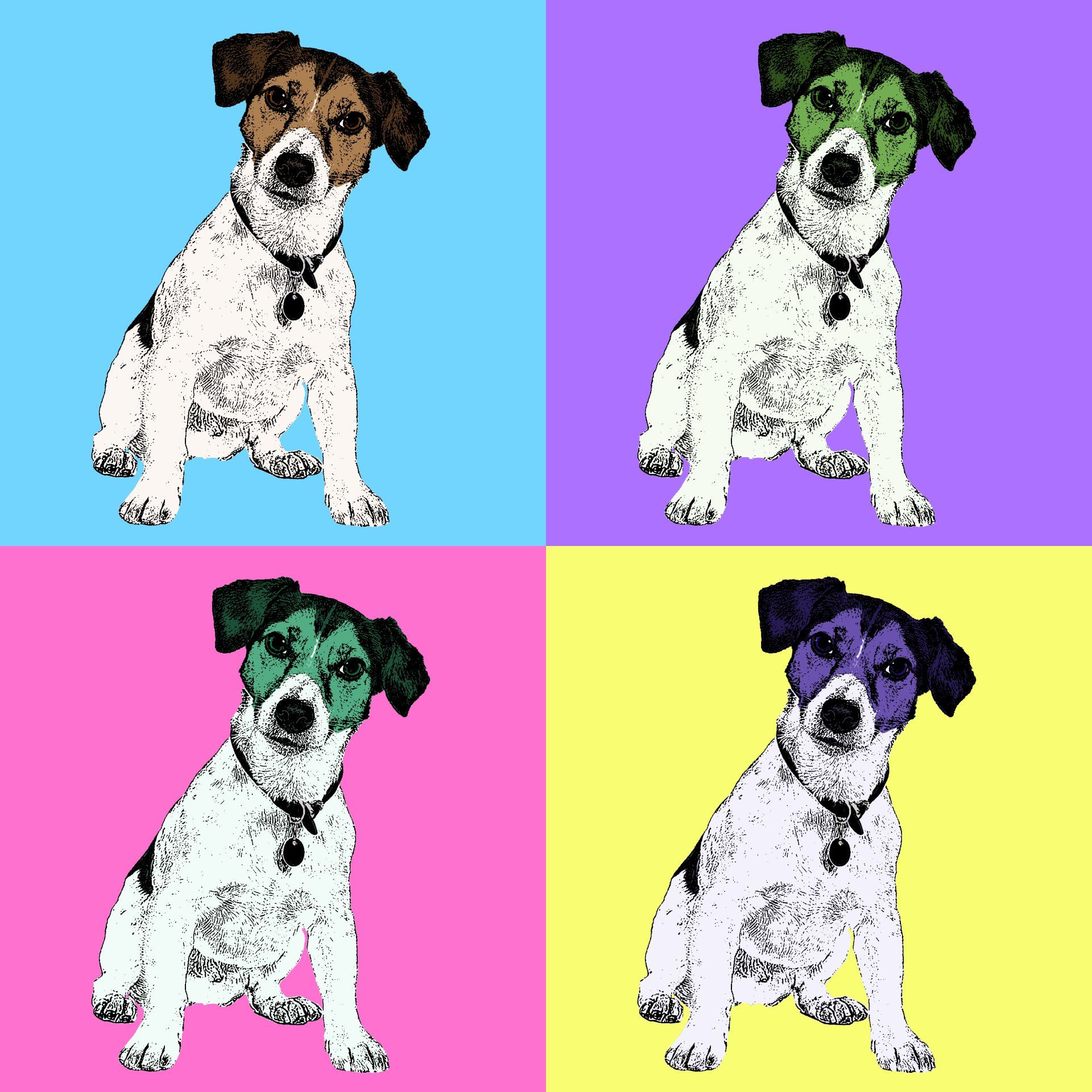 Art Effects/Pop Art