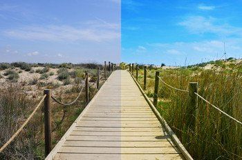 Restoration & Novelty