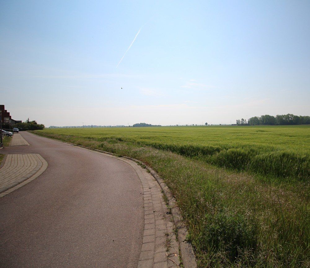 Ein geschwungener, gepflasterter Weg neben grünen Feldern unter klarem, blauem Himmel