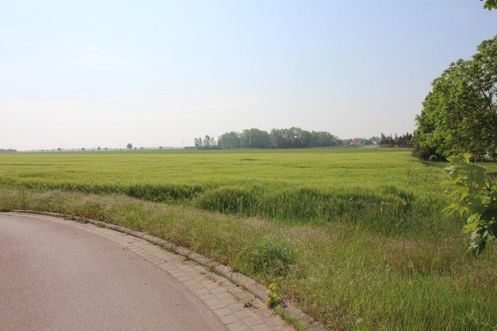 Kurvenreiche Straße neben grünen Feldern unter klarem, blauem Himmel, in der Ferne Bäume.