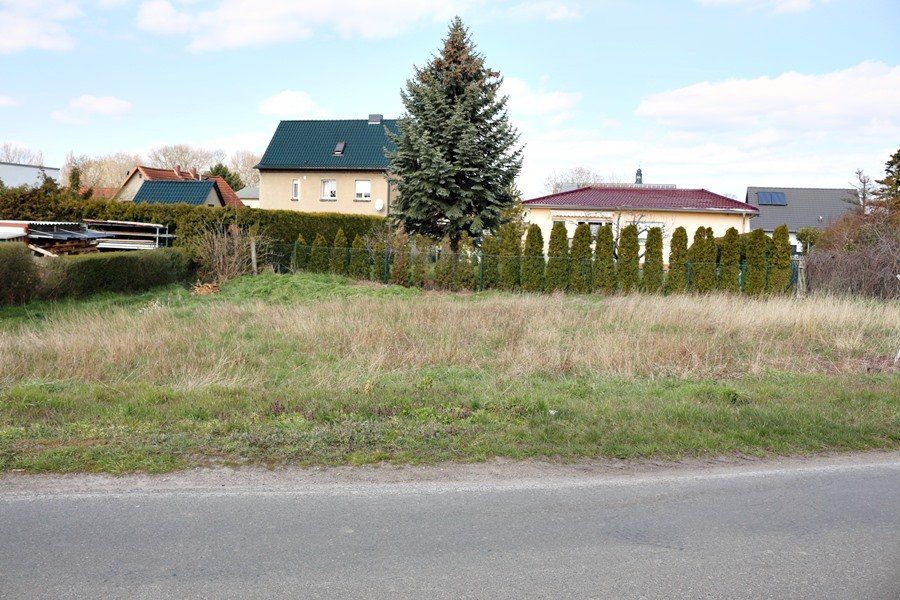 Vorstadtstraße mit grasbewachsenem Grundstück, immergrüner Hecke und Häusern unter einem bewölkten Himmel