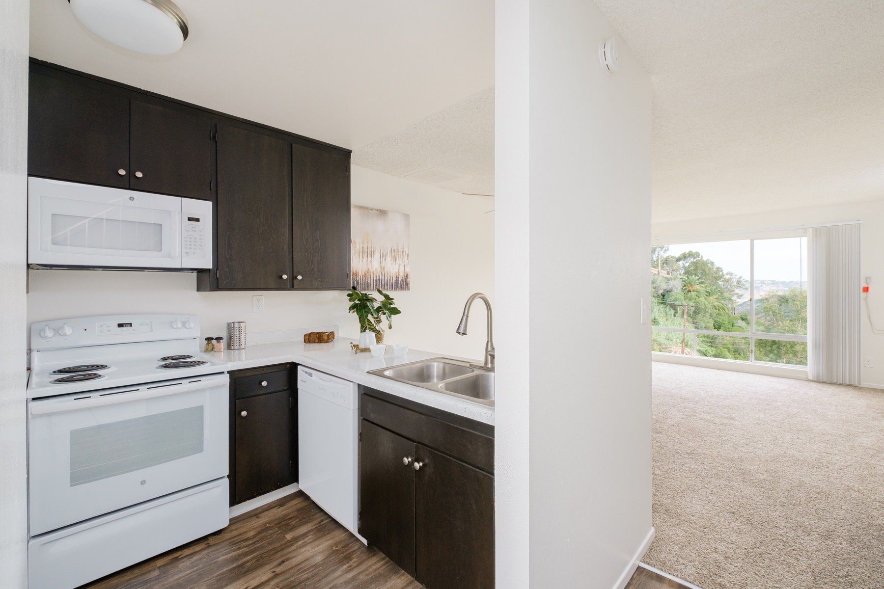 Antone Apartments