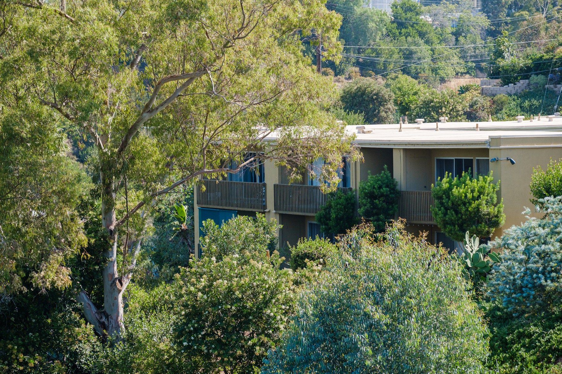 Antone Apartments