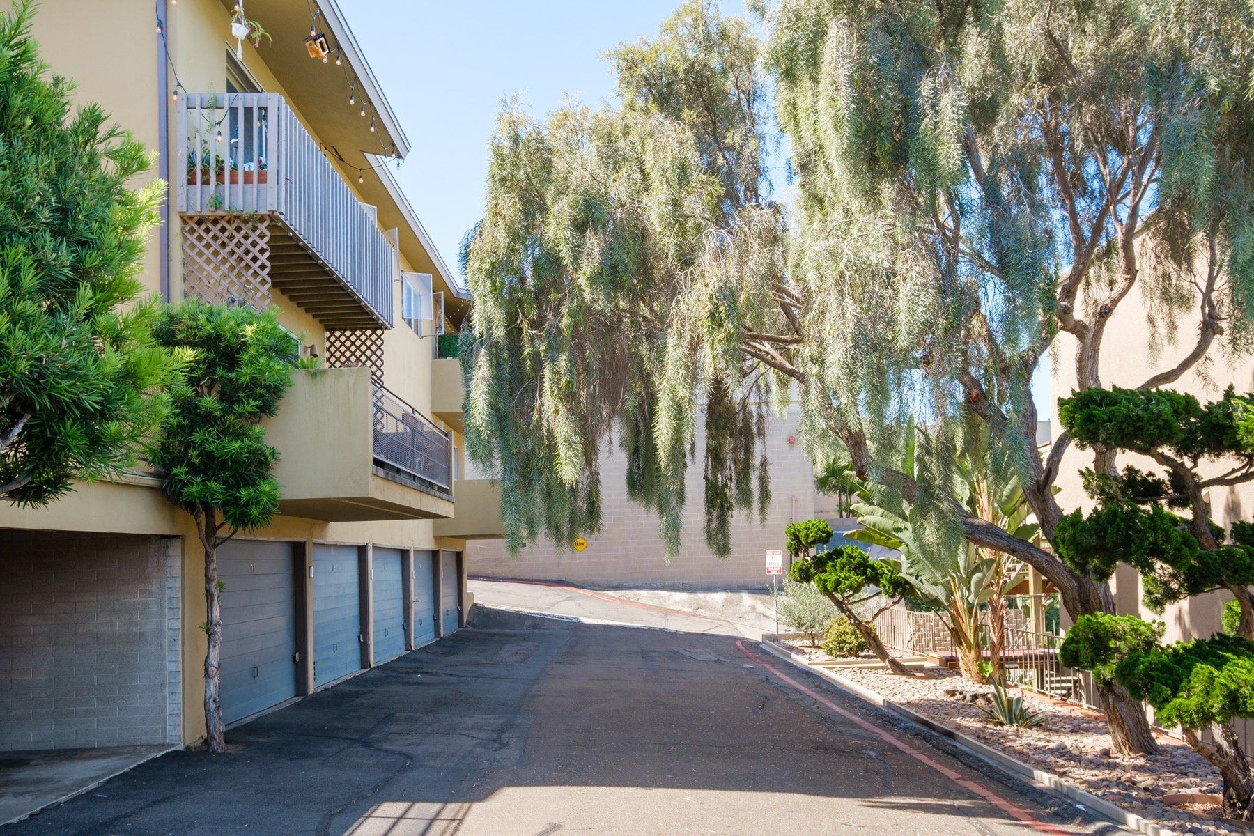 Antone Apartments