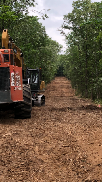 forestry mulching