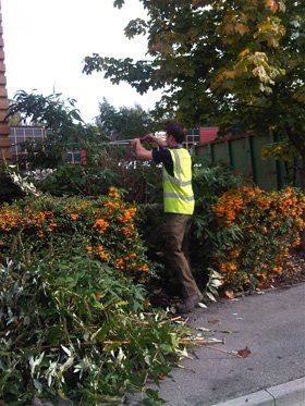 Groundcare services - Brighton - HR Goodwin & Sons Groundcare Limited Groundcare services - Brighton - HR Goodwin & Sons Groundcare Limited
