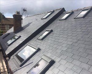 roof windows