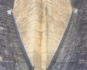 roof before cleaning