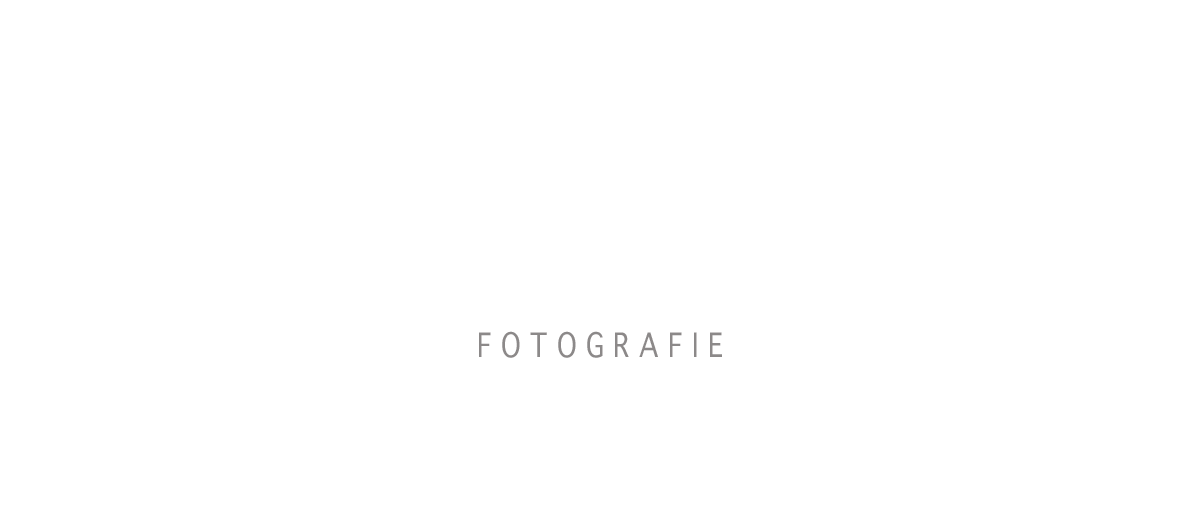 De tekst