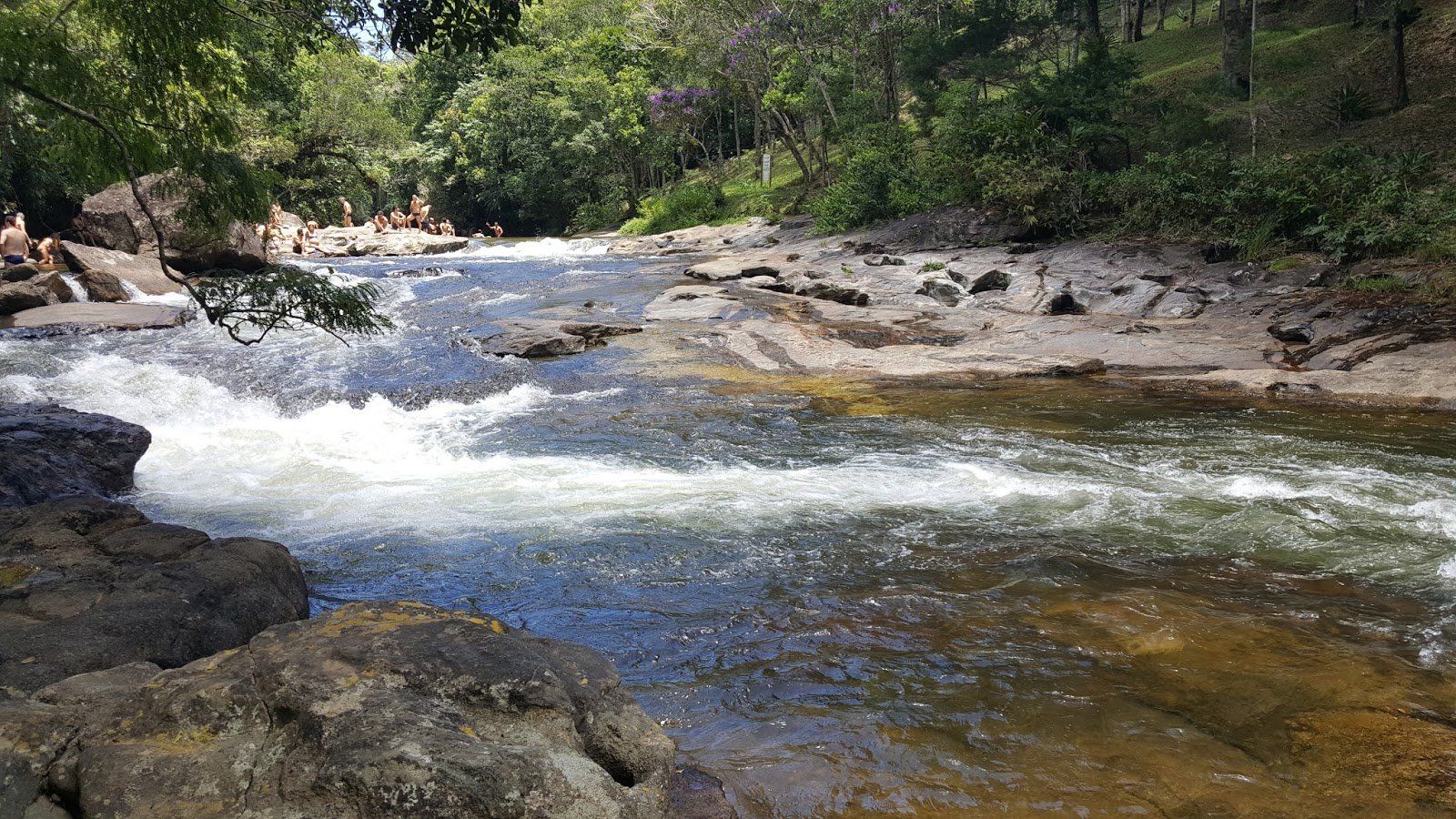 Um rio de águas caudalosas corre sobre rochas em uma área florestal.