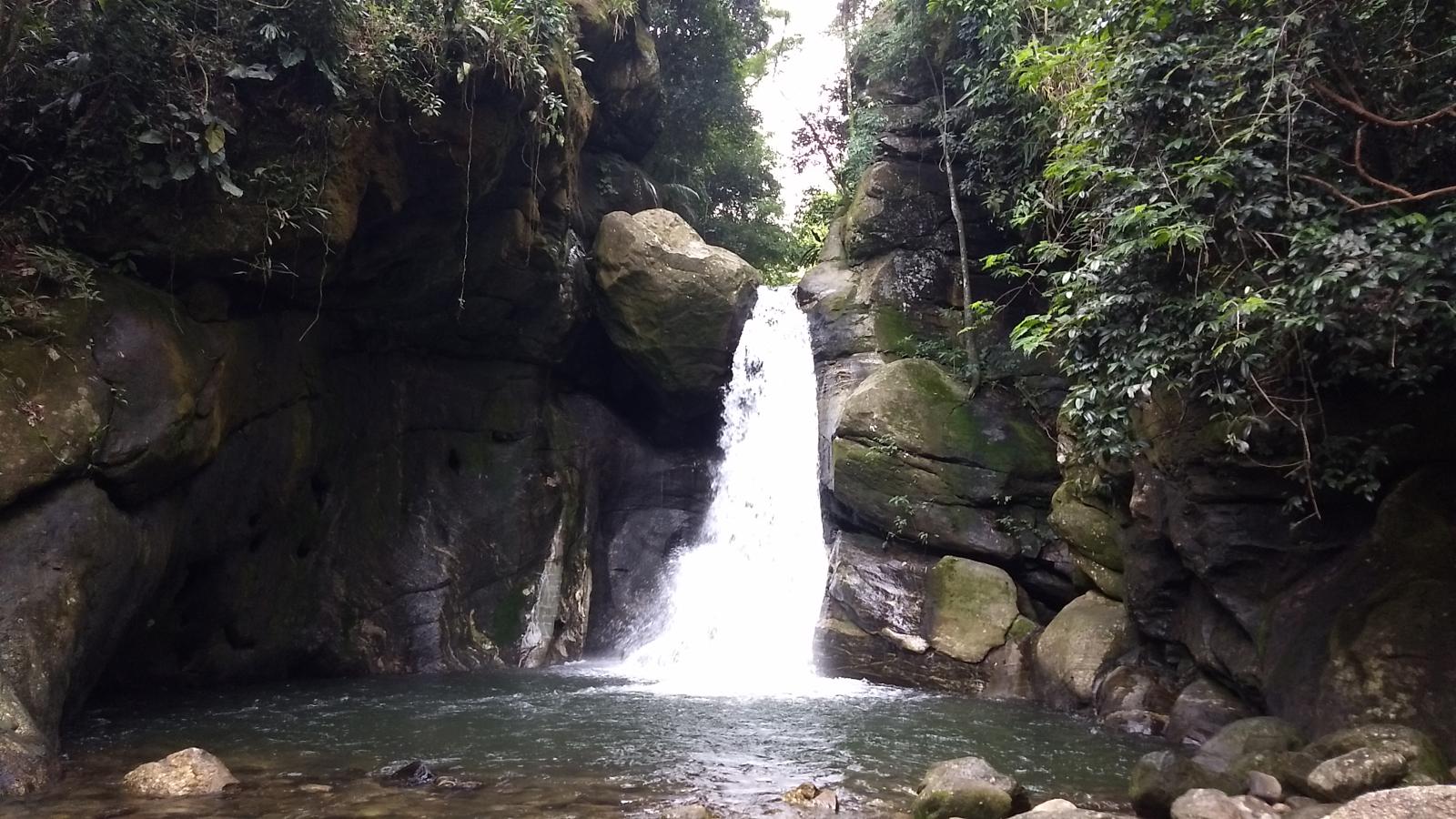 Cachoeira que deságua em uma pequena piscina, cercada por rochas cobertas de musgo e vegetação exuberante.